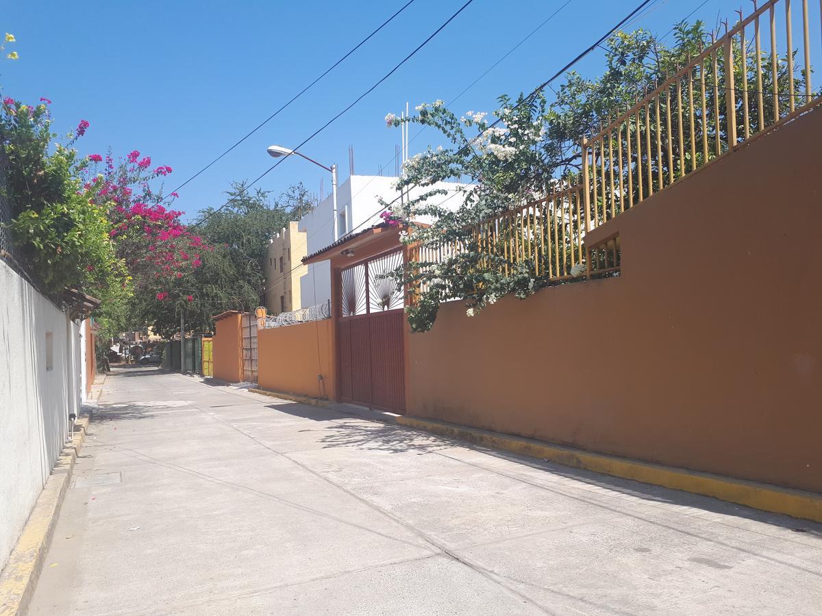 锡瓦塔塔内霍Casa Luz De Luna公寓 外观 照片